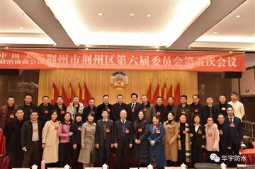 天地亚星国际正网新材料集团董事长余诗英女士出席荆州区政协会议